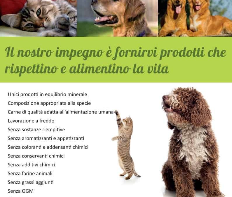 Perchè abbiamo scelto REICO