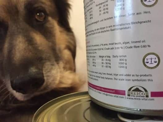 Cibo per cani e gatti: come leggere le etichette?