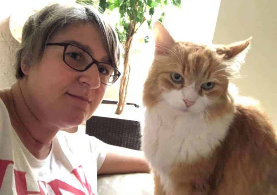 Ai gatti piacciono le persone… Beh non tutte!