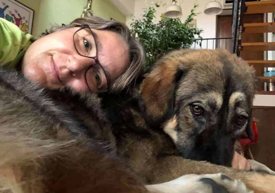 Generation Pup: lo studio inglese per la tutela della salute e il benessere dei cani