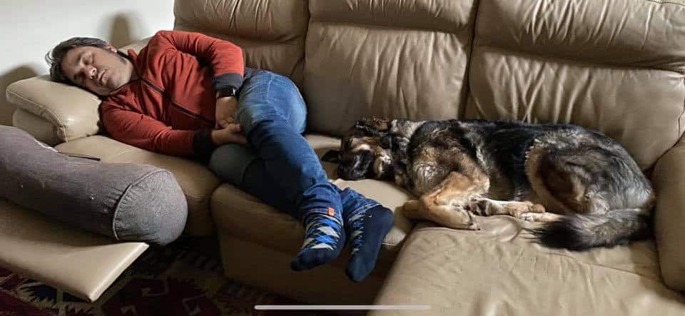 Non svegliare il can che dorme