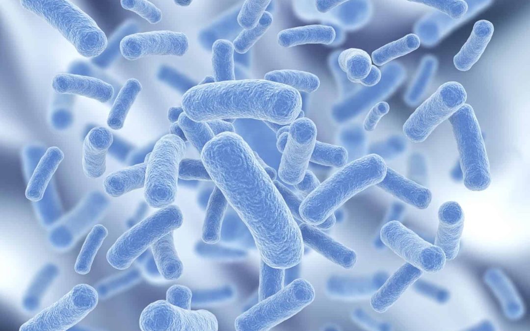 Microbioma: siamo ciò che mangiamo