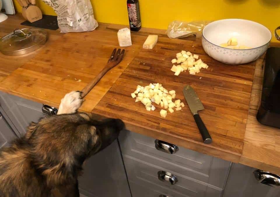 Buono e sano non fanno sempre rima