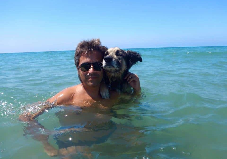 I cani e il nuoto: 5 benefici