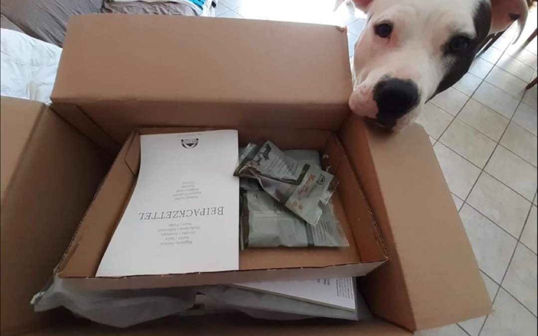 Il cibo secco per cani : Krokett Reico