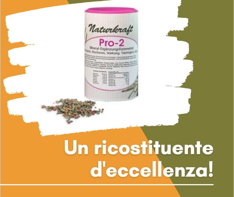 Pro-2: una ricca miscela di erbe dai molti usi