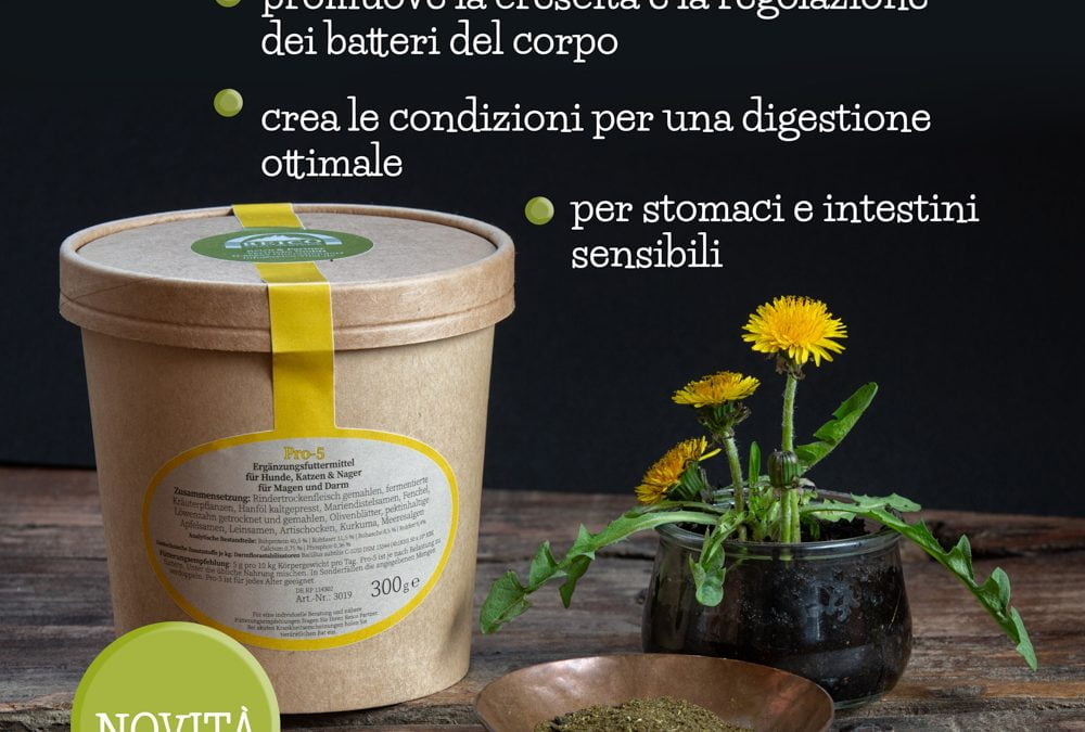 Pro-5: cibo per il microbioma intestinale