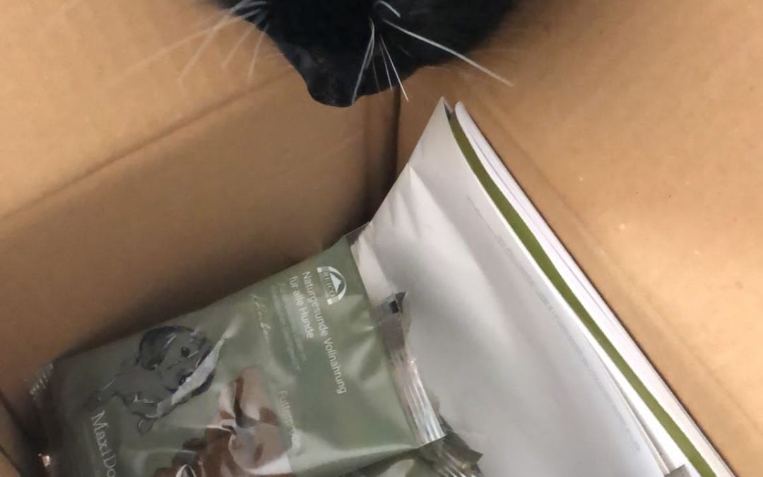 Come si acquistano i prodotti Reico per cani?