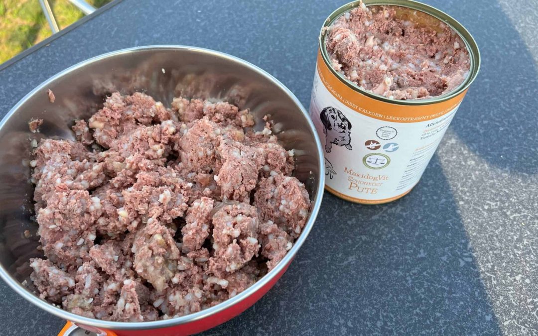 Cani e Gatti: sono quello che mangiano!