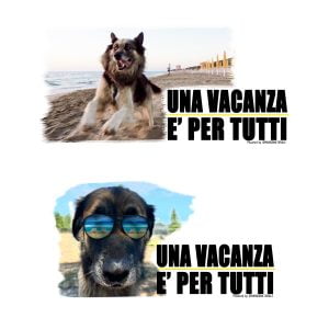 Linea "No abbandono"