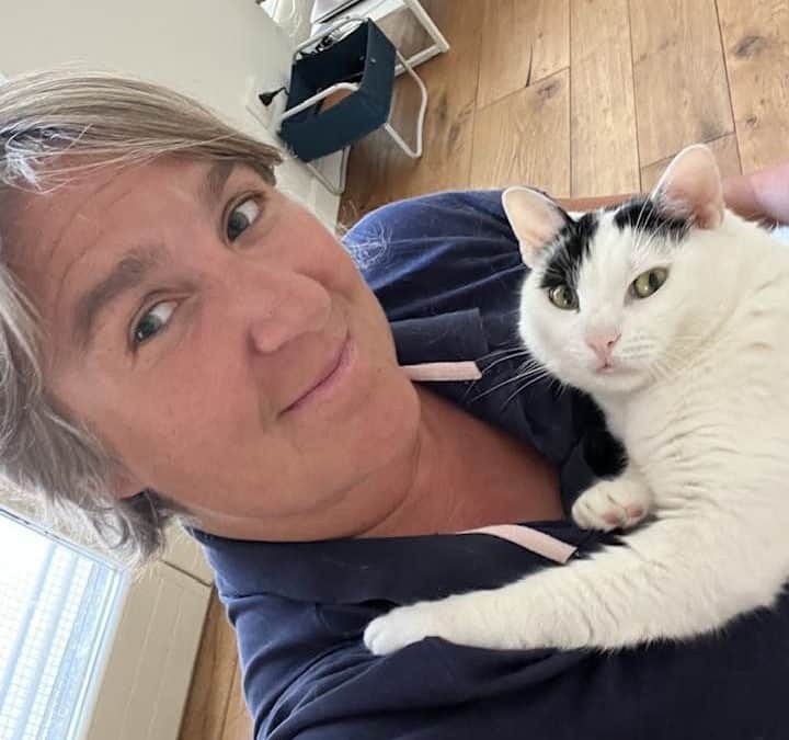 Gatti che fanno la pipì in giro per la casa
