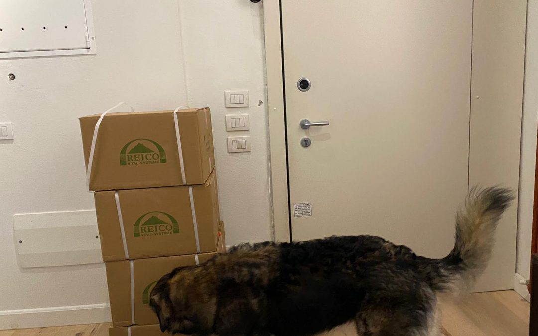 Crocchette Pressate a Freddo Reico: la miglior scelta di cibo secco per il benessere del tuo cane