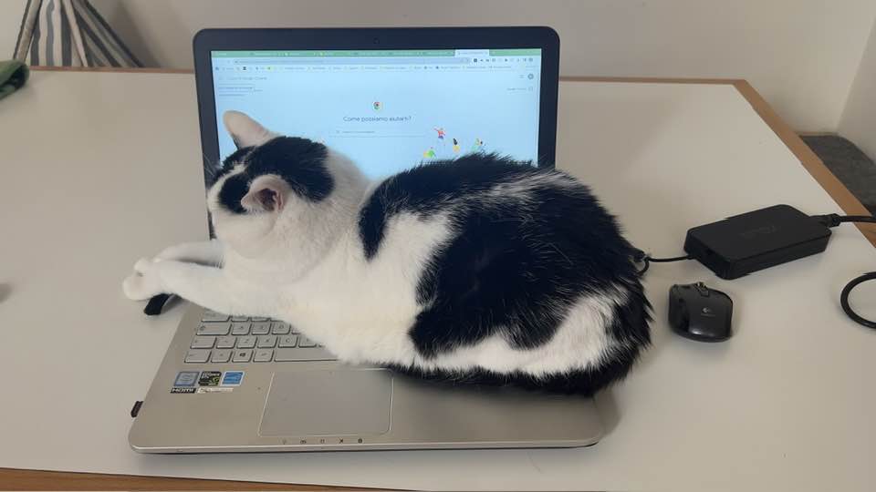 Scopri i temi delle ultime ricerche e innovazioni nel mondo pet